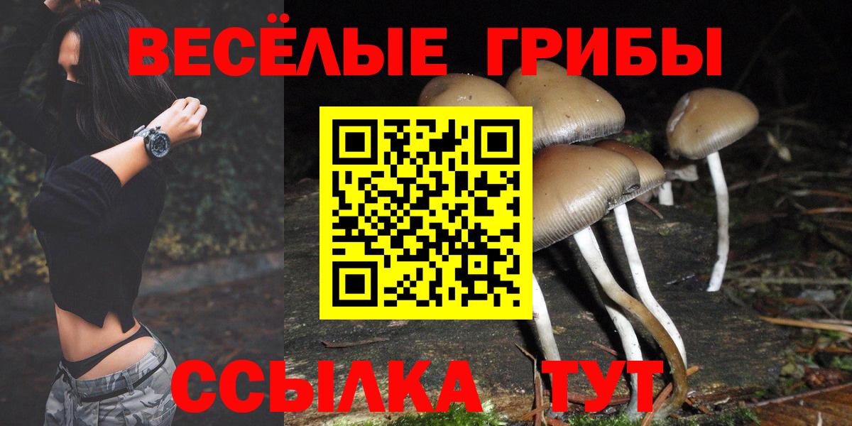 наркошоп  Вход с VPN  Клинцы  Псилоцибиновые грибы мухоморы 